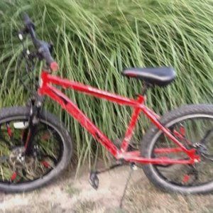 Mongoose Singe